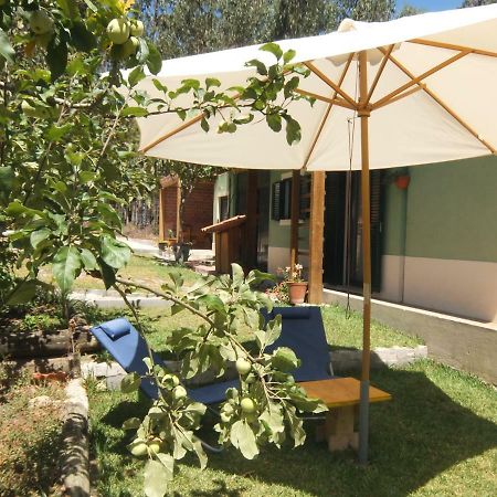 Ecobosque Βίλα Nadadouro Εξωτερικό φωτογραφία
