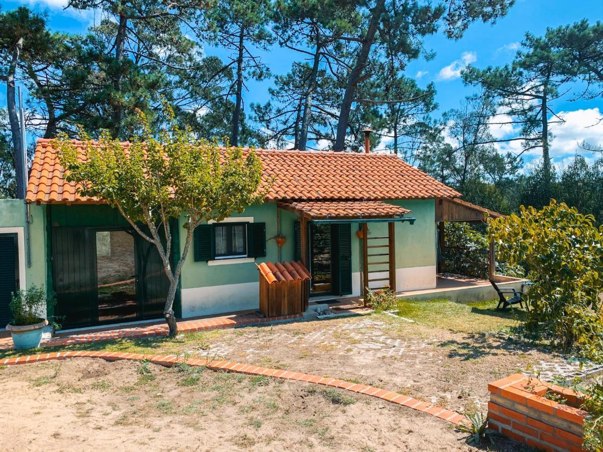 Ecobosque Βίλα Nadadouro Εξωτερικό φωτογραφία