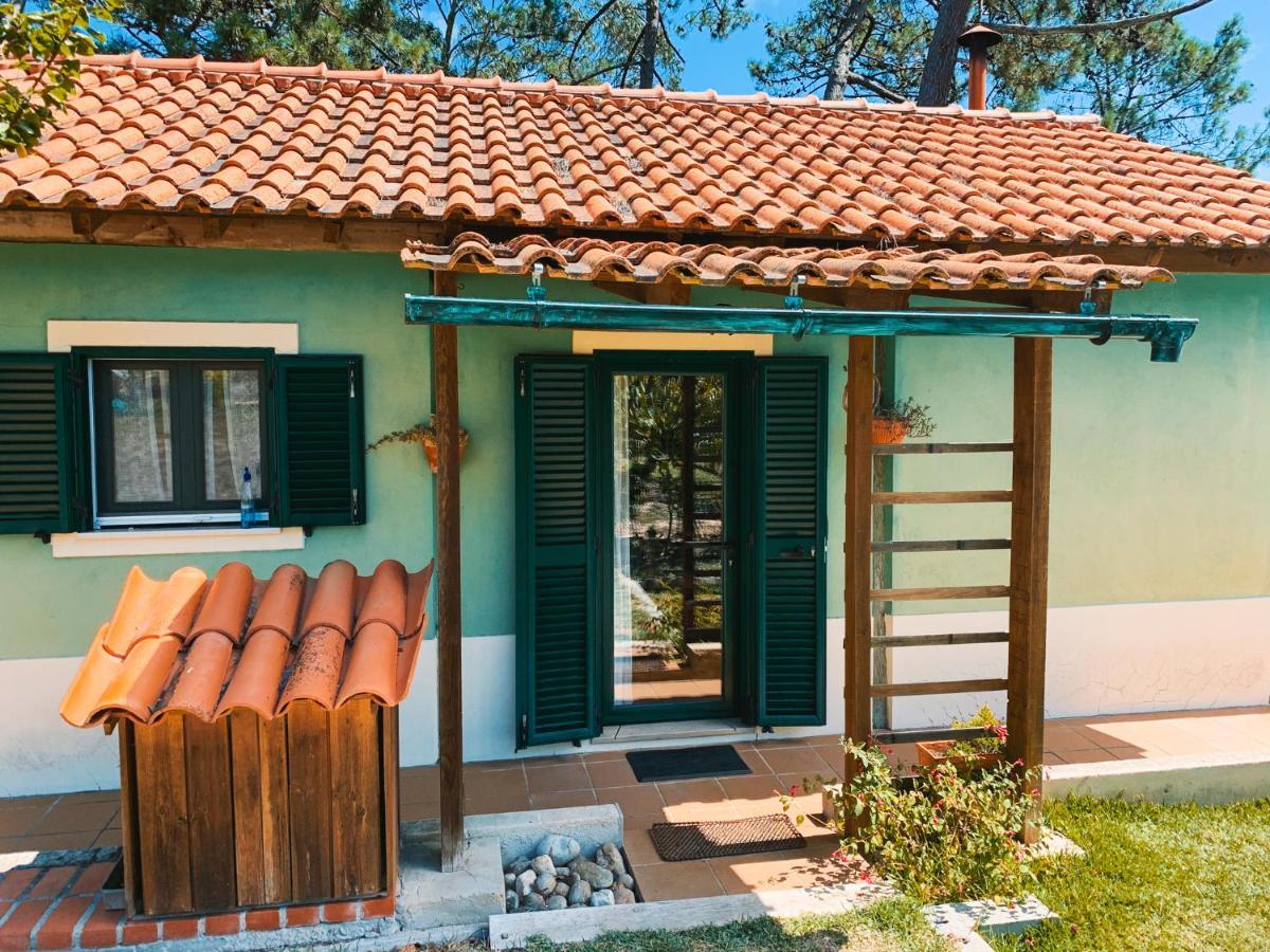 Ecobosque Βίλα Nadadouro Εξωτερικό φωτογραφία