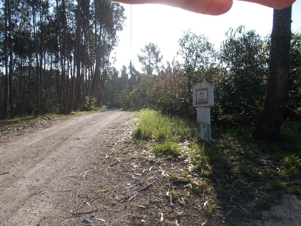 Ecobosque Βίλα Nadadouro Εξωτερικό φωτογραφία