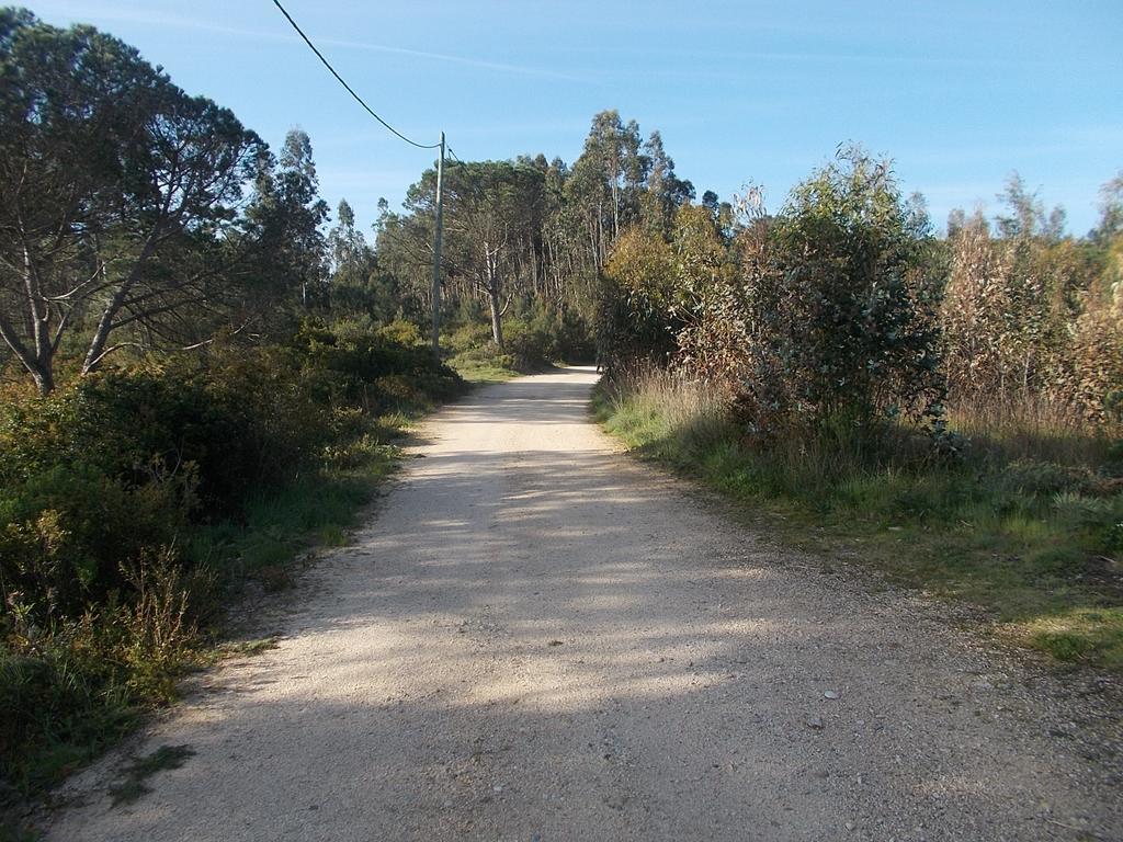 Ecobosque Βίλα Nadadouro Εξωτερικό φωτογραφία