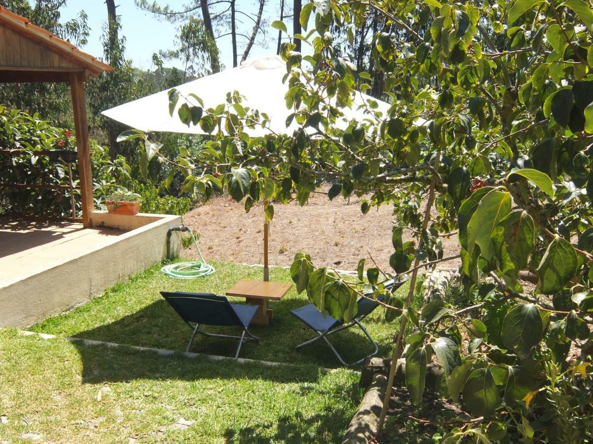 Ecobosque Βίλα Nadadouro Εξωτερικό φωτογραφία